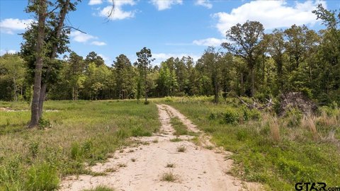 Recreational Ranch Land Tract