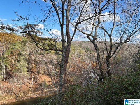 LAND/LOTS, NORTHPORT, AL