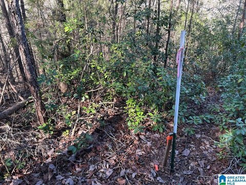LAND - NORTHPORT, AL