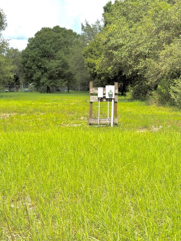 Picture 3