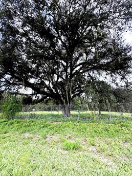Land & Docks, Clewiston, FL