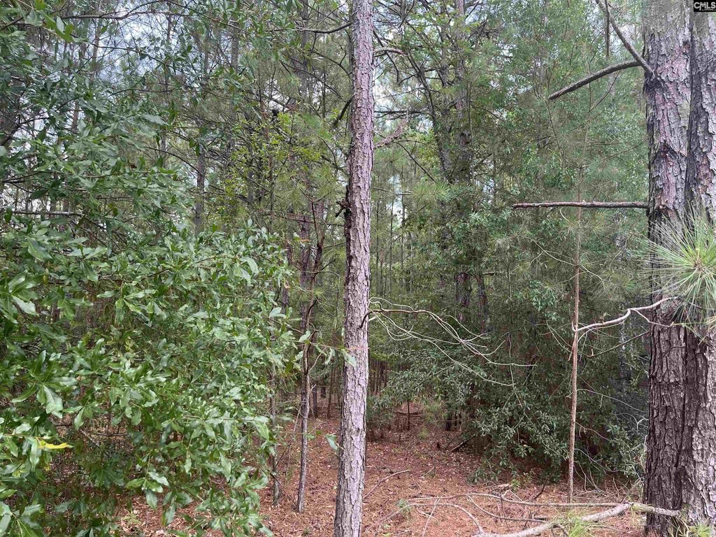 Picture 3
