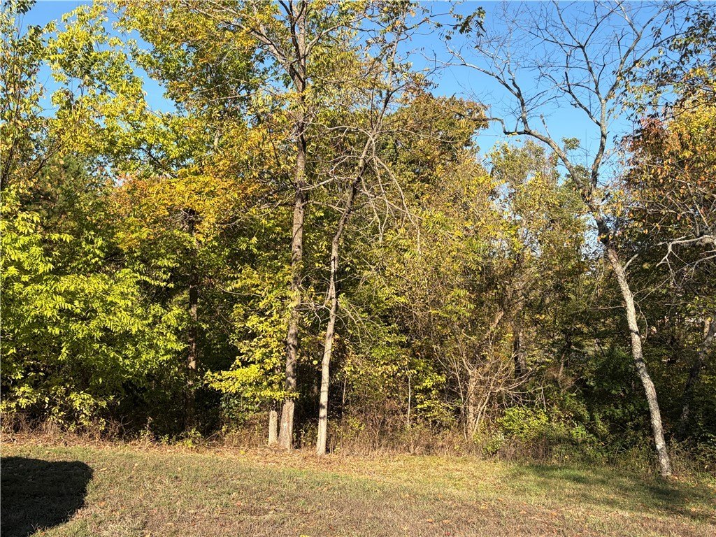 Picture 2