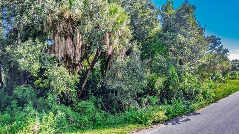 CG-Zoned Commercial Land