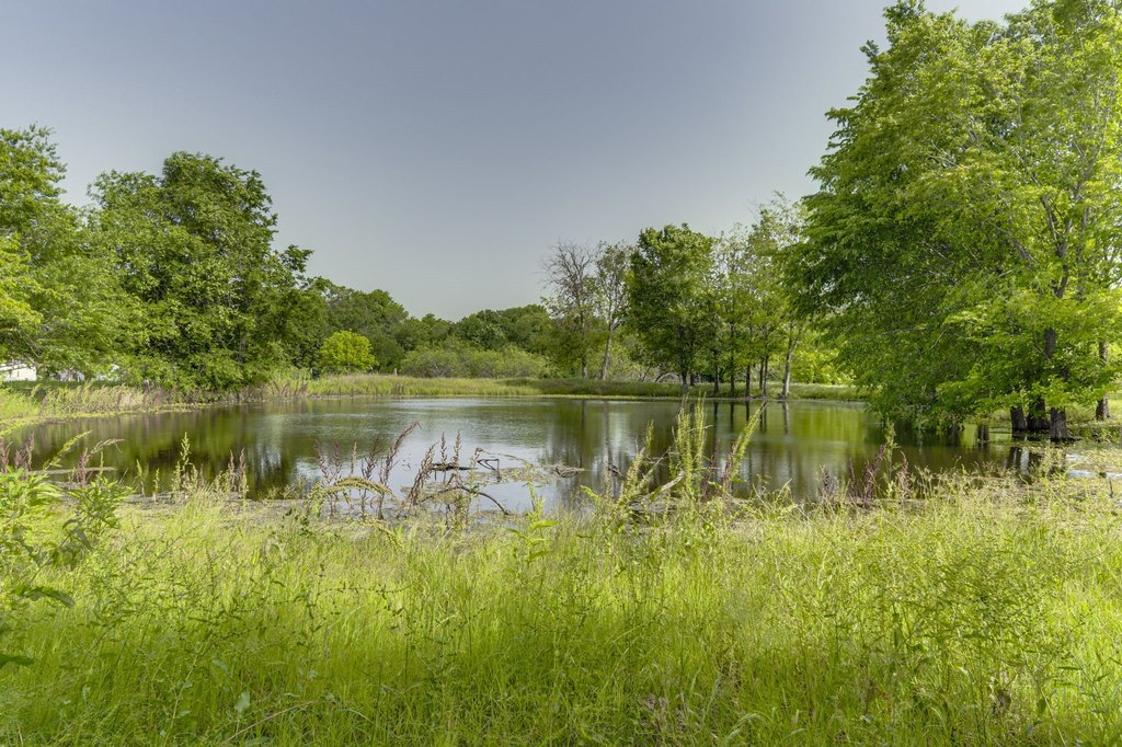 Picture 7