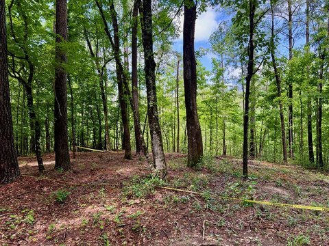 Residential Land Inside Nacogdoches Loop
