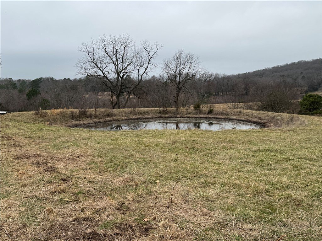 12.24 Acres with Pond