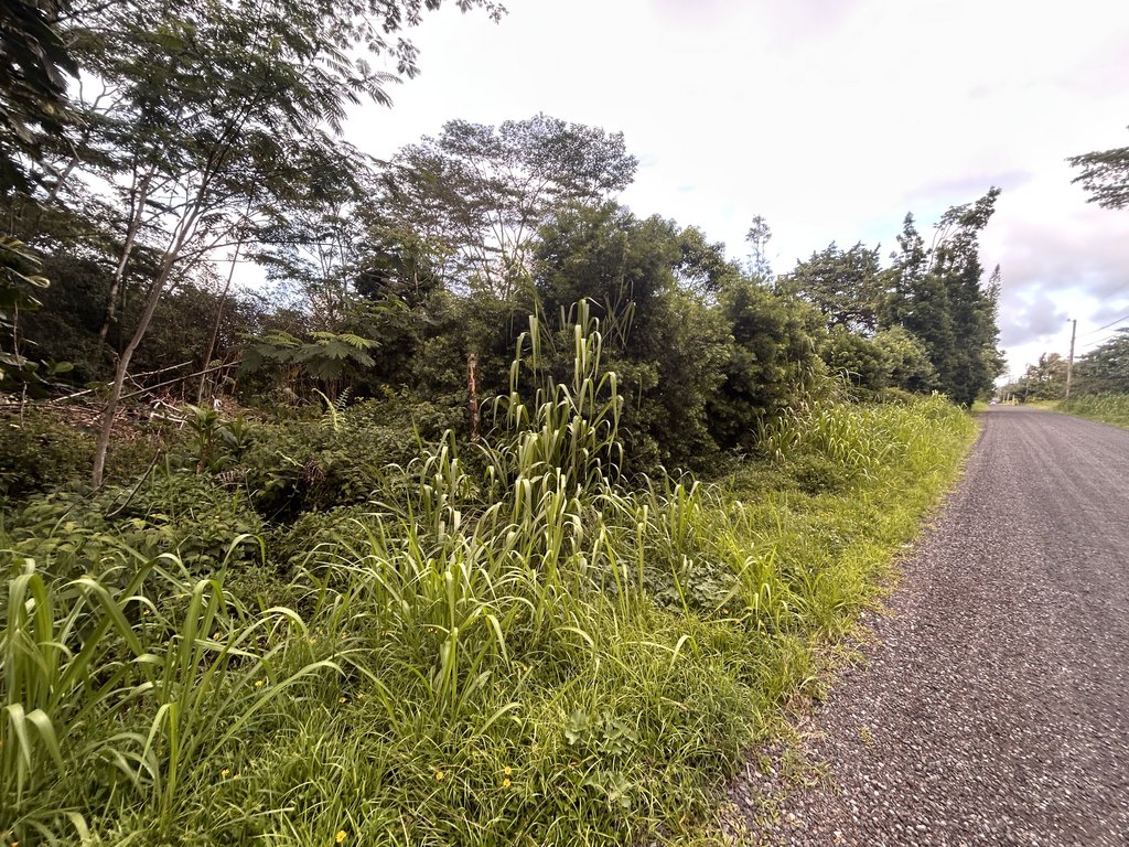 Picture 16