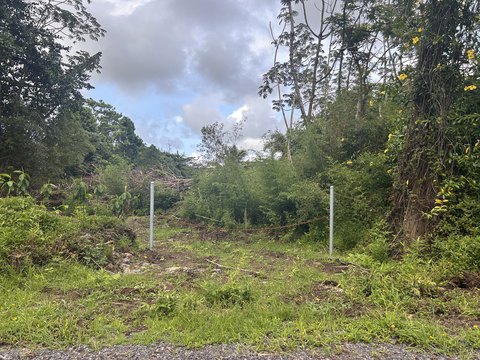 LAND - Keaau, HI