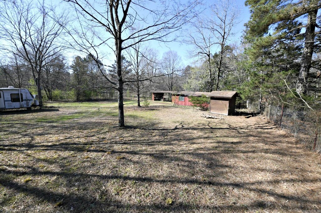 Picture 8