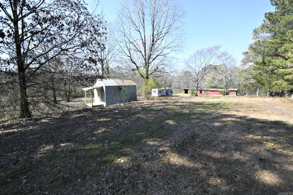 Picture 3