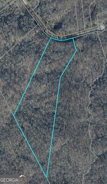Gainesville Wooded Estate Lot