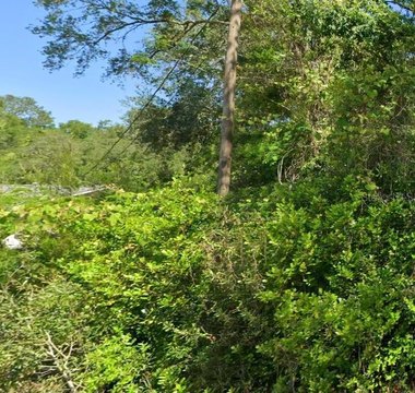 Land, DUNNELLON, FL
