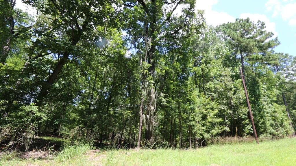 Wooded Lot Near Lake Sam