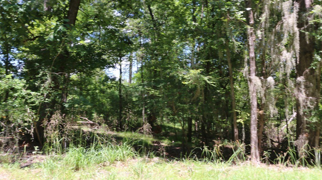 Picture 8