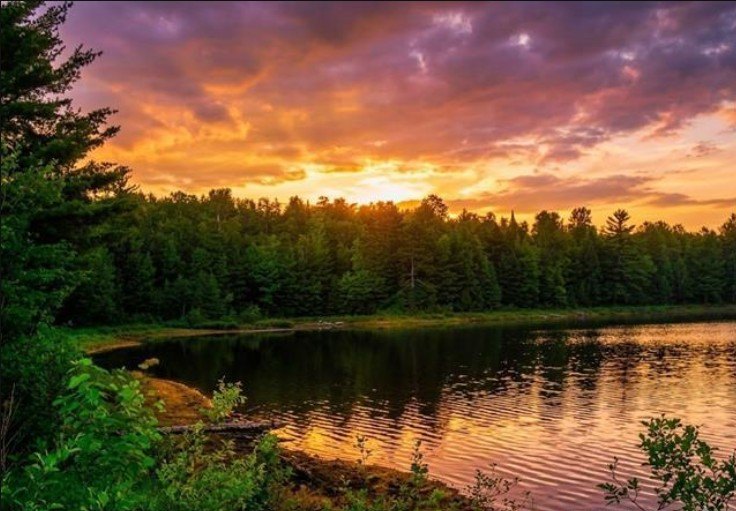 Waterfront Land in Michigan's Upper Peninsula