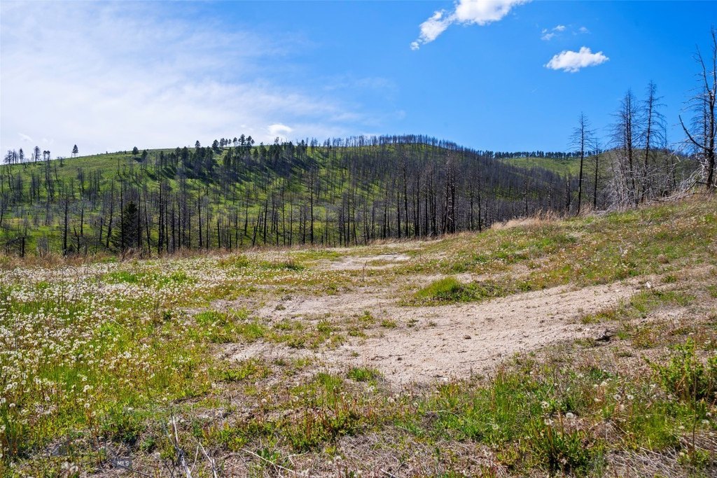 Picture 8