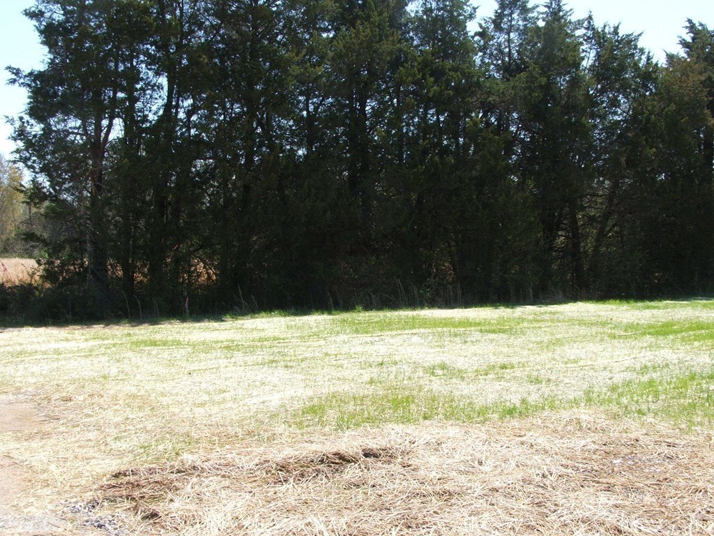 Picture 7