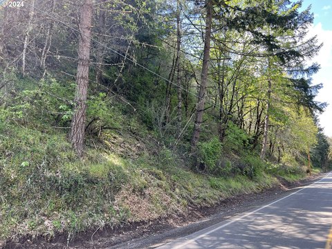Vacant Land Near Interstate 5