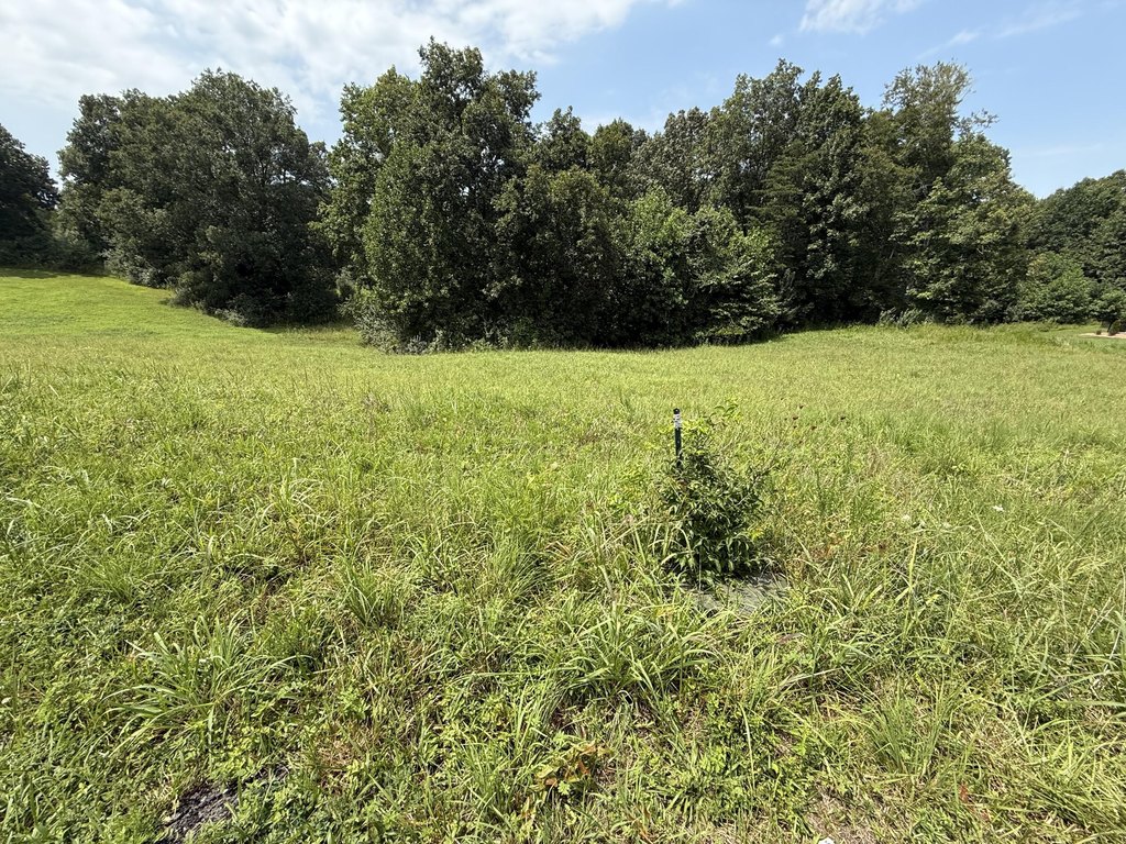 Picture 27