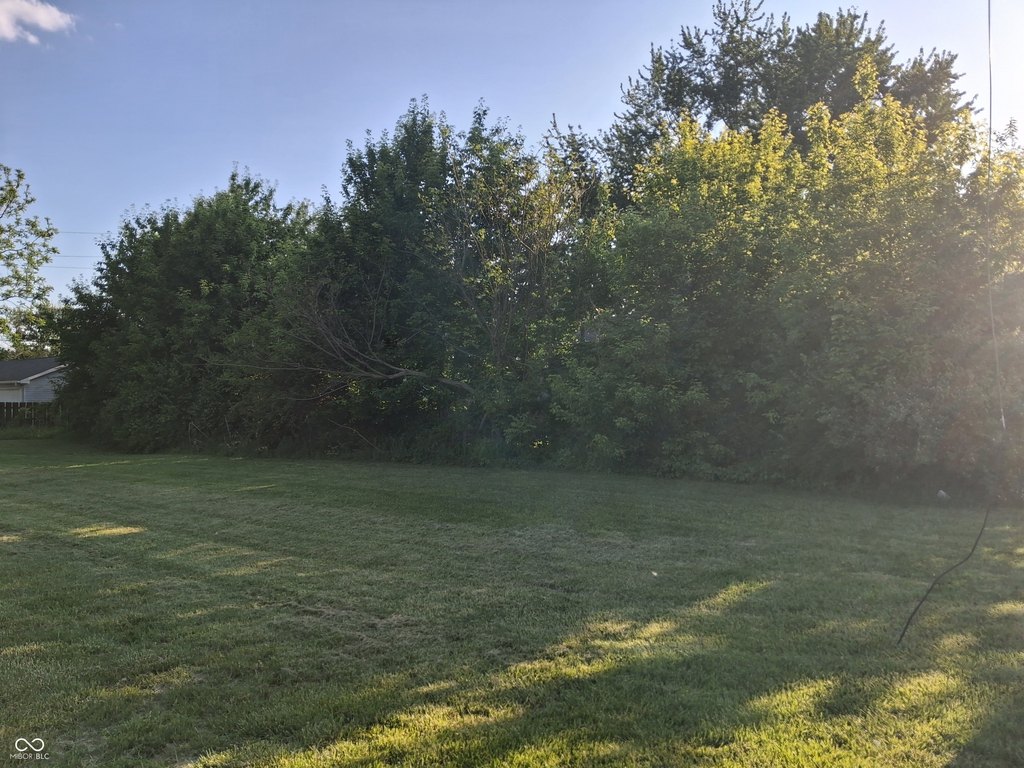 Picture 2