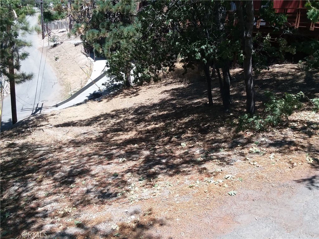 Picture 3