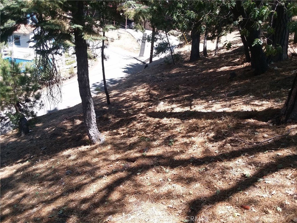 Picture 2