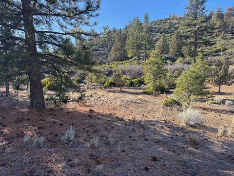 Land Near Golf Course