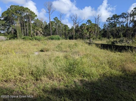 Land For Sale, Palm Bay