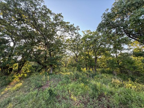 Recreational Hunting Ranch with Ponds