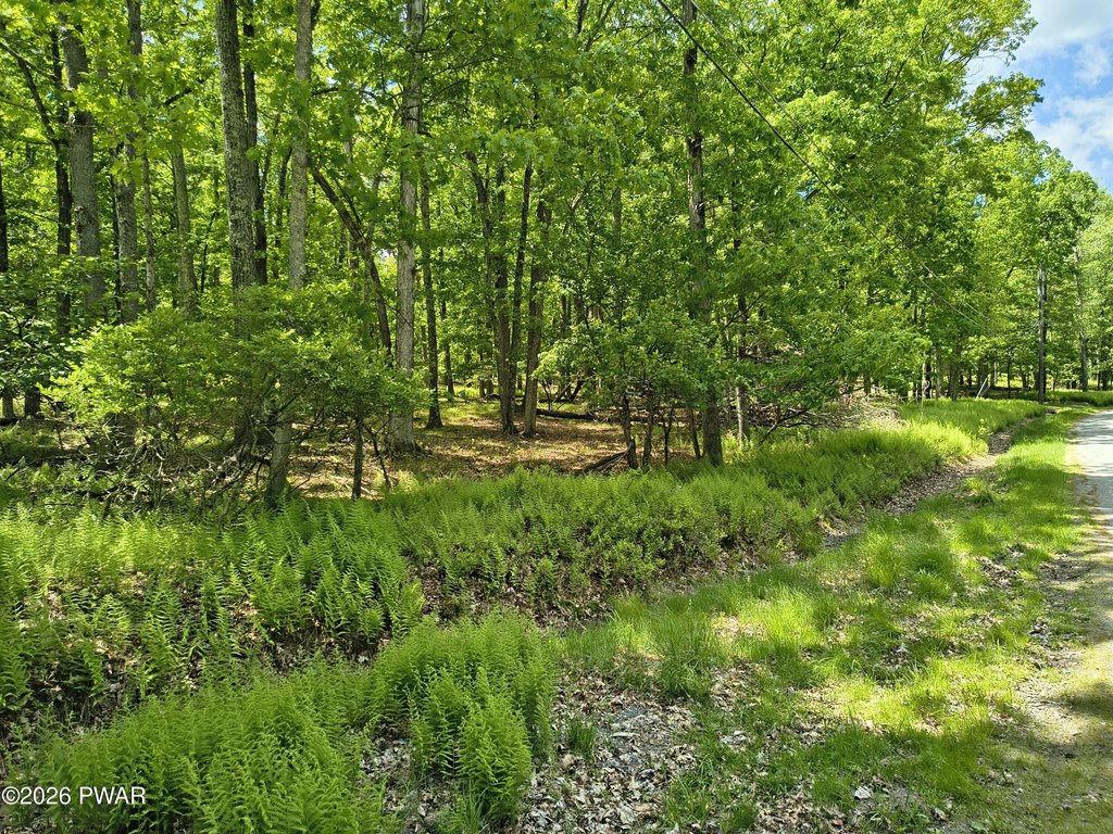Picture 14