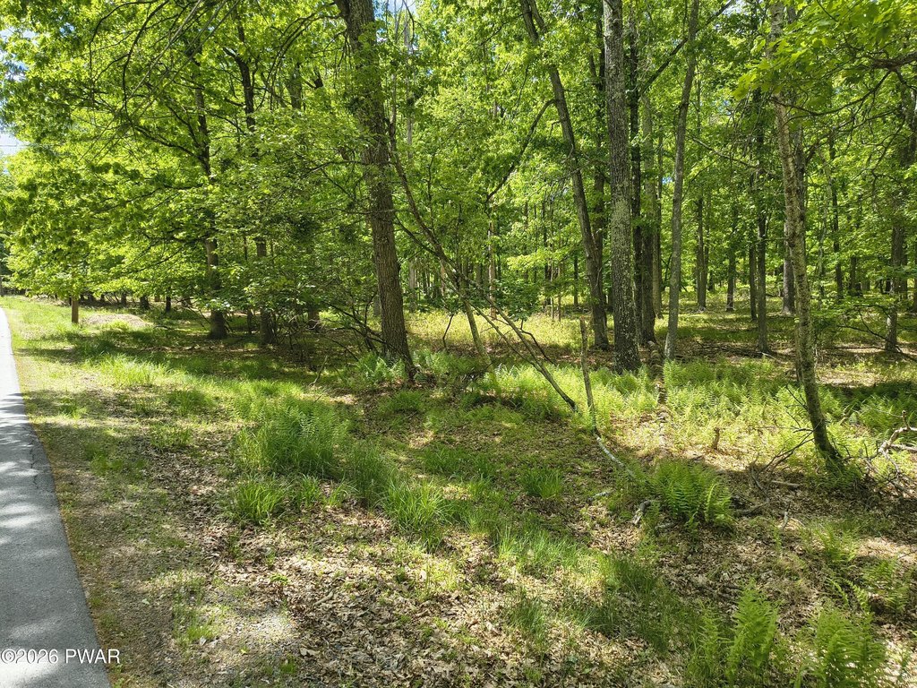 Picture 10
