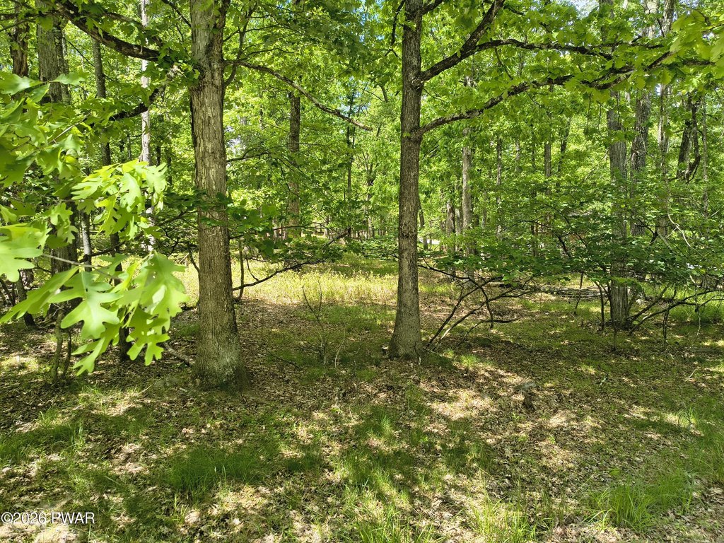 Picture 11