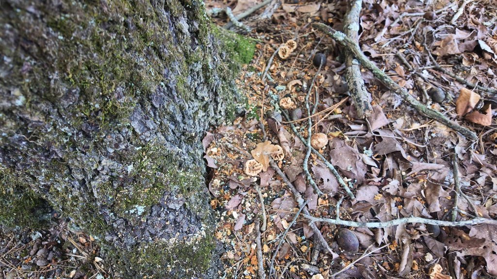 Picture 12