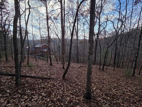 Toccoa River Access Building Lot