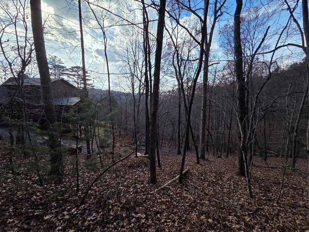 Picture 8