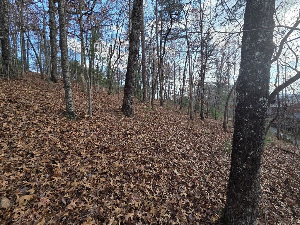 Picture 3