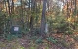 Pond Front Lot in Warne