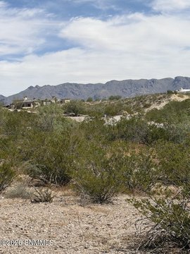 Land, Las Cruces, NM