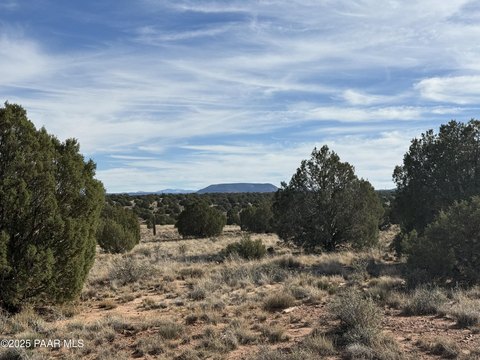7-Acre Parcel in Concho, AZ