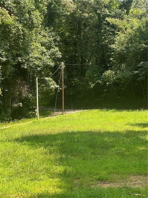Picture 7