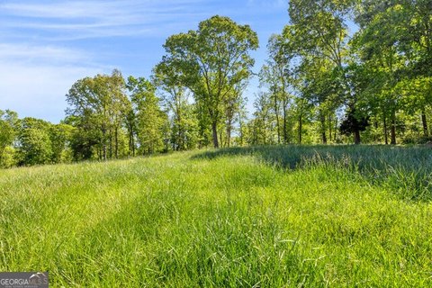 Land, Eastanollee, GA