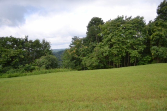 Picture 7