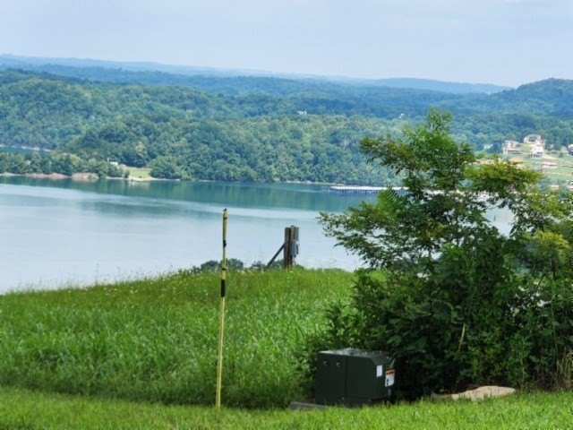 Picture 16