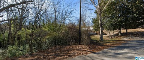 LAND - HOBSON CITY, AL