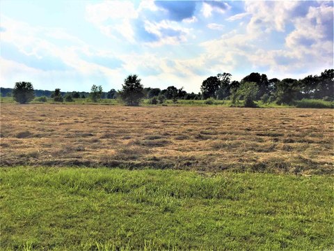 Residential Land Near Mound Lake