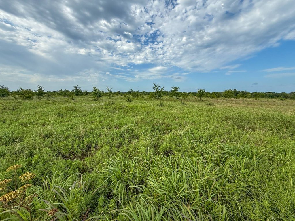 Picture 25