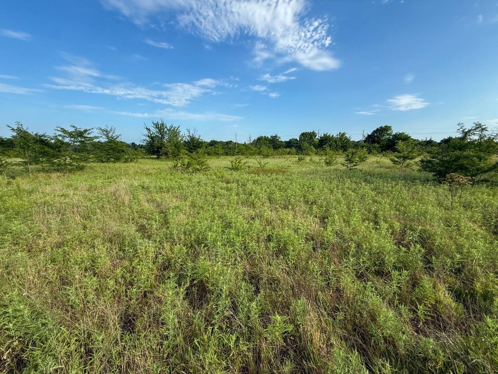 Picture 20