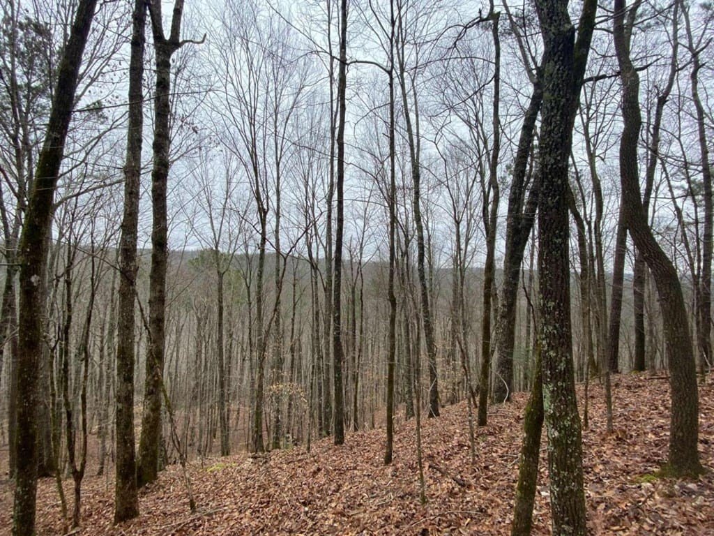 Picture 15