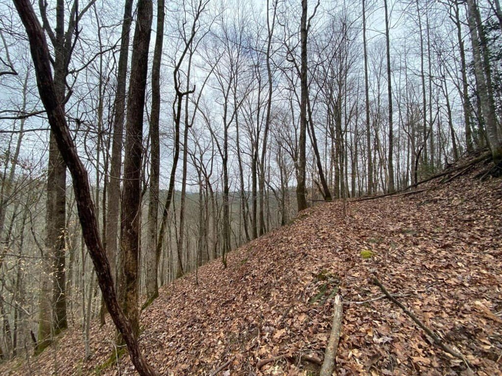 Picture 17